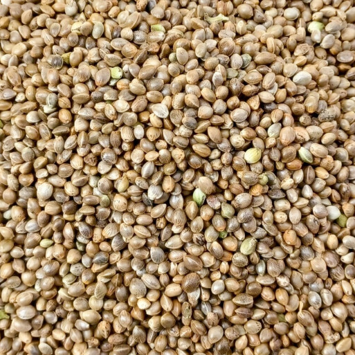 Hemp Seeds