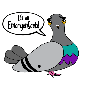 EmergenSeeb Bag