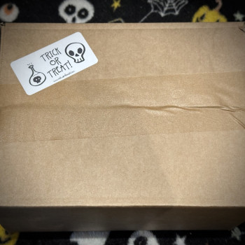 Trick or Treat snack box