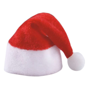 Tiny Santa Hat