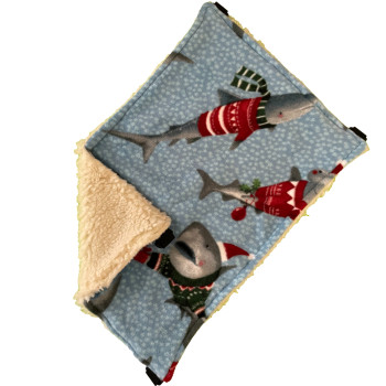 Cold Snap - Flat long