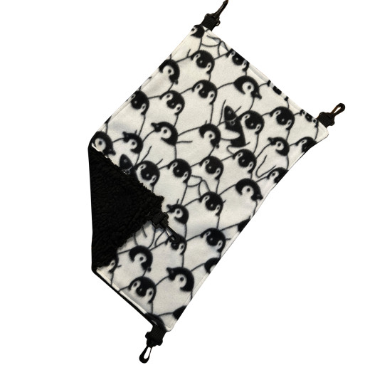 Antarctica Life - Flat long