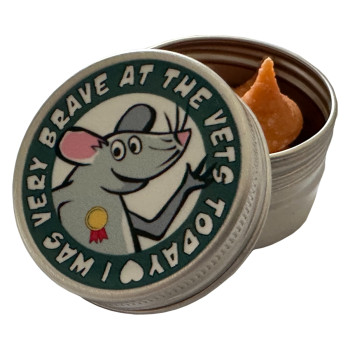 Brave At The Vets - Rat - Treats Tin