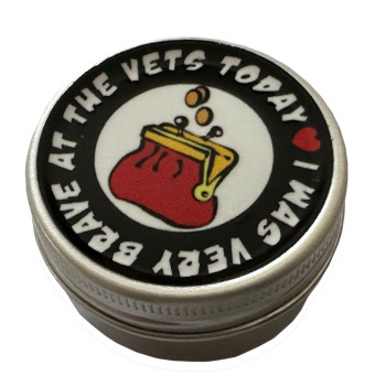 Brave At The Vets - Purse - Treats Tin