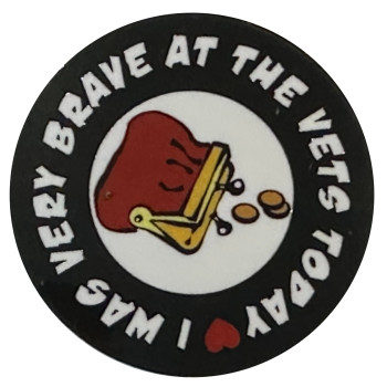 Brave at the Vets Sticker