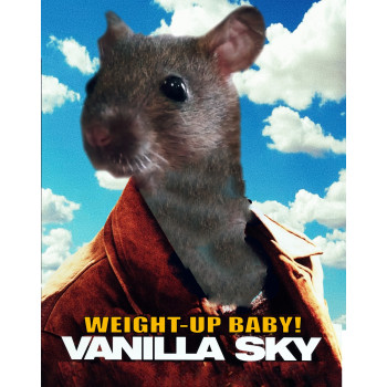 Weight-Up Baby! Ultra - Vanilla Sky