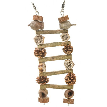 Natural Wood and Cones Ladder
