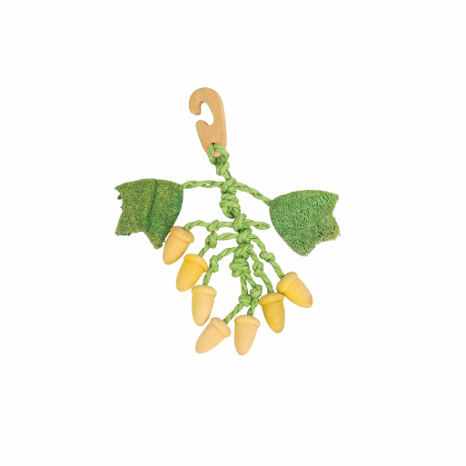 Acorn Nibblers