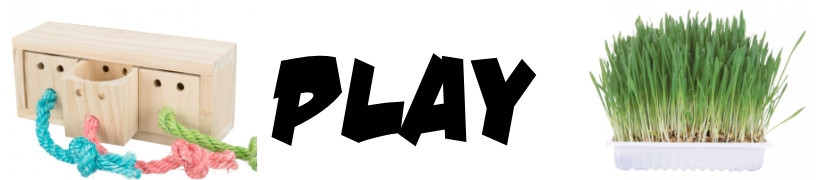 Play